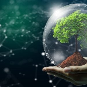 A tree in a globe being held by human hands