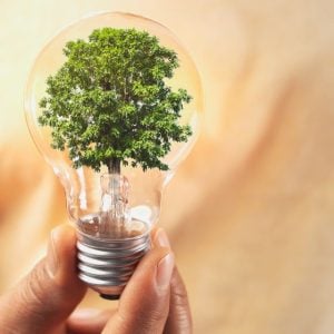 A hand holding a small tree inside a lightbulb